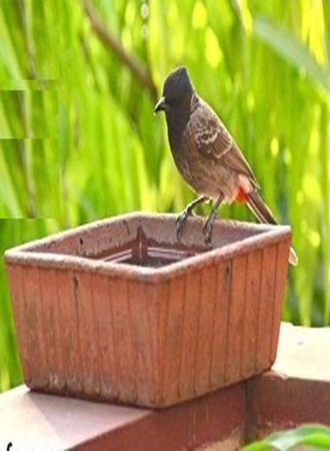 Shriyam Craft Earthen Pot Terracotta Bird Bath, Earth Brown (9X9-Inch) - Image 3